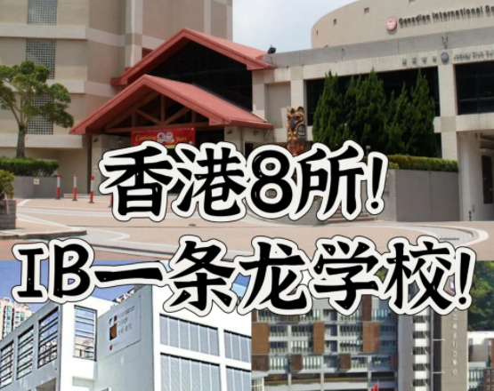 香港IB一條龍學校，僅此8所！